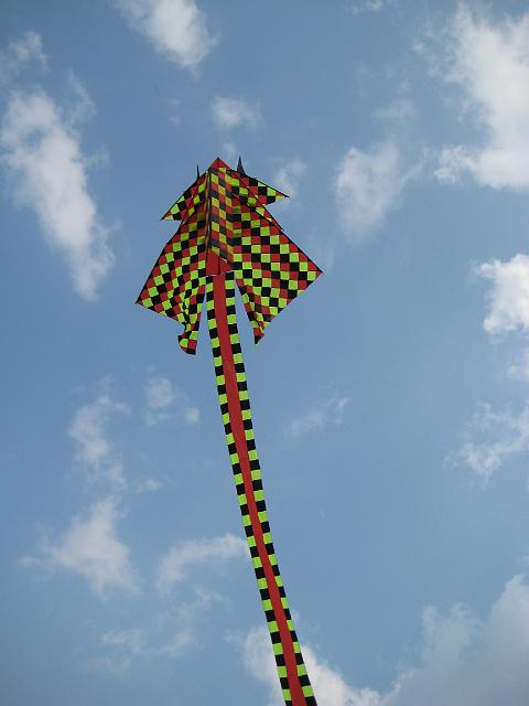 Drachenfest Bergeijk 2009 024.jpg
